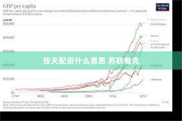 按天配资什么意思 苏联雅克