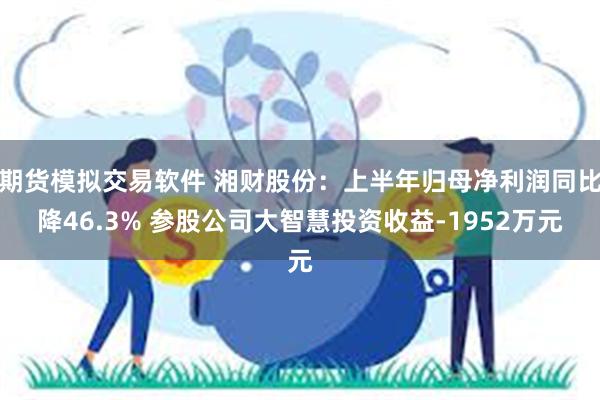 期货模拟交易软件 湘财股份：上半年归母净利润同比降46.3% 参股公司大智慧投资收益-1952万元