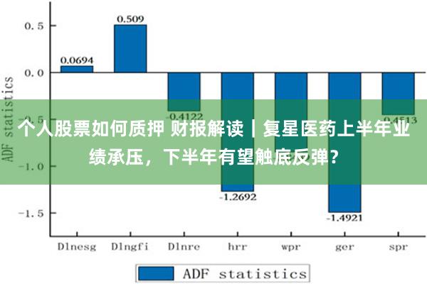 个人股票如何质押 财报解读｜复星医药上半年业绩承压，下半年有望触底反弹？