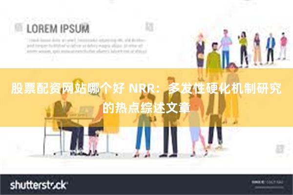 股票配资网站哪个好 NRR：多发性硬化机制研究的热点综述文章