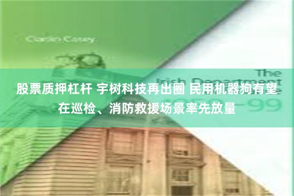 股票质押杠杆 宇树科技再出圈 民用机器狗有望在巡检、消防救援场景率先放量