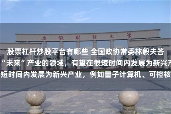 股票杠杆炒股平台有哪些 全国政协常委林毅夫答每经问：一些看似属于“未来”产业的领域，有望在很短时间内发展为新兴产业，例如量子计算机、可控核聚变